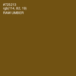 #725213 - Raw Umber Color Image